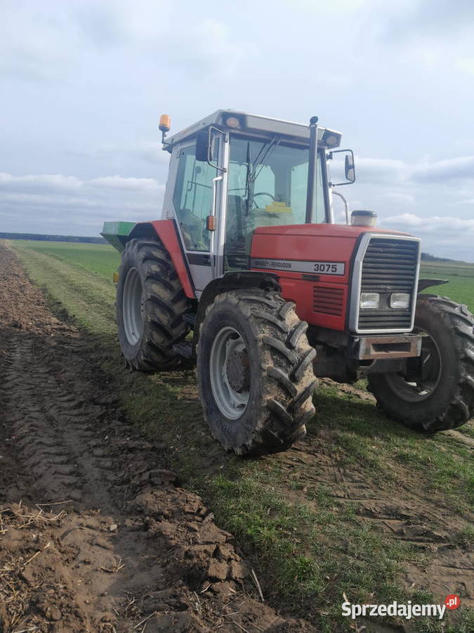 Massey Ferguson 3075 Dynashift WOM 540/1000 obr. Babczów