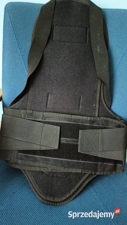 Ochraniacz pleców żółw Poznań sprzedam