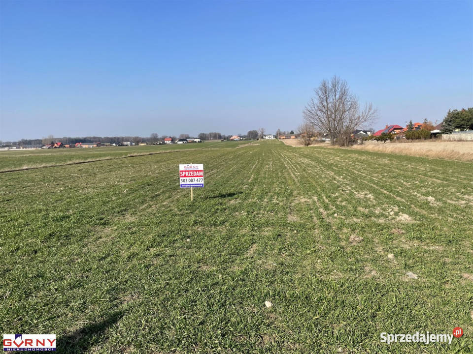 Działka Gomulin 16400m2