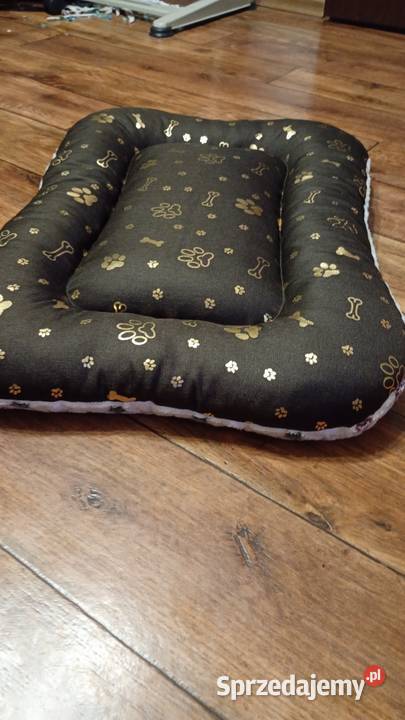 Nowe legowisko pupila