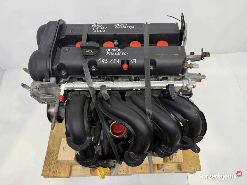 SILNIK Ford Focus II MK2 C C 16 16V 100 Motoryzacja Chełm