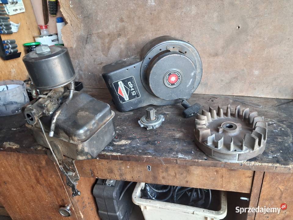 Agregat prądotwórcz BtiggsStrattion 5HP podkarpackie Stalowa Wola