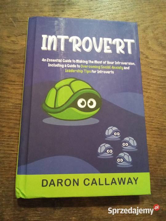 Introvert an essential guide Callaway angielsku Warszawa