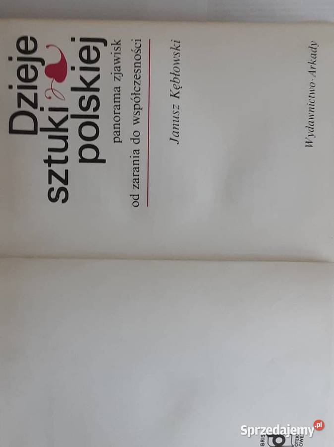 DZIEJE SZTUKI POLSKIEJ WYDANIA 1987 Szczecinek