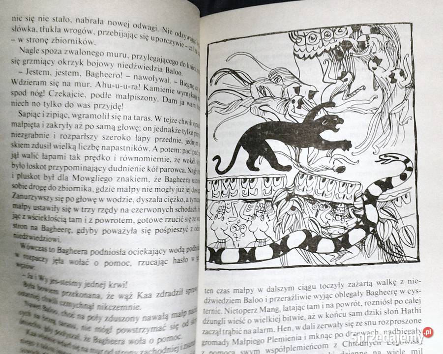 Księga dżungli Rudyard Kipling