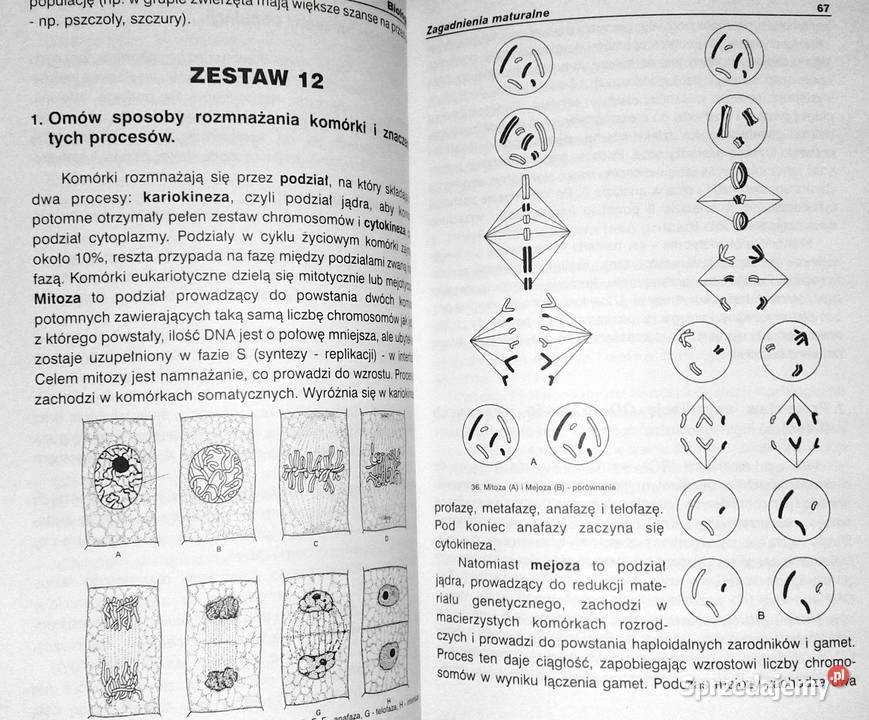 Matura z biologii Agnieszka Cerańska Rok wydania 2000 Chełm