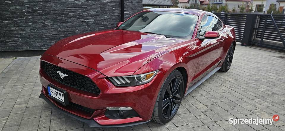 Ford Mustang 37 Automat 306 Książenice