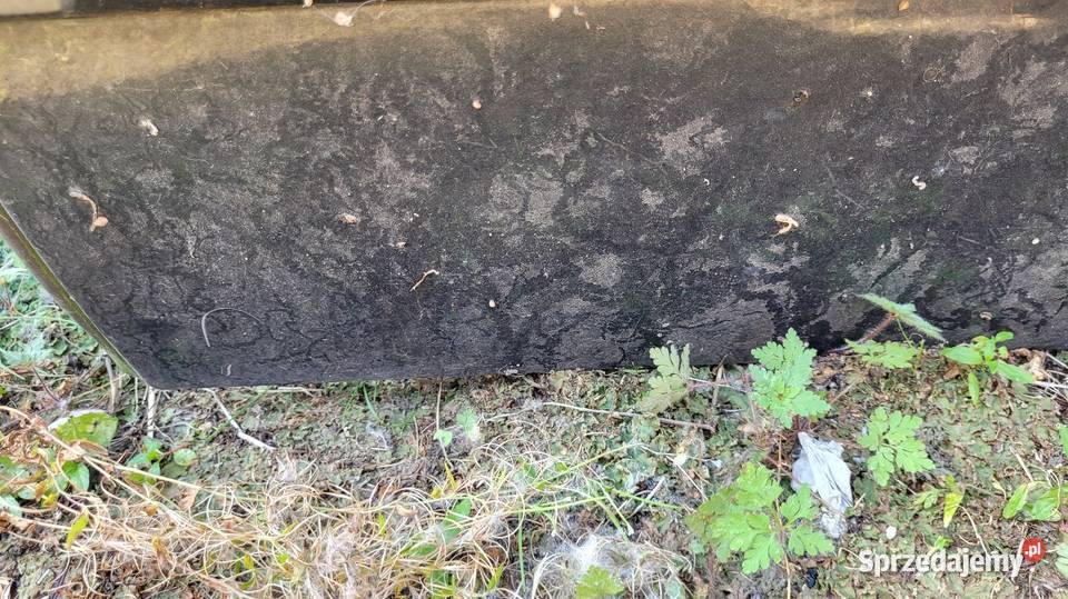 Drzwi Citroen C5 I Łagów sprzedam