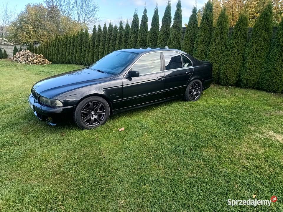 BMW E39 30D 204 chip przelot sedan manual