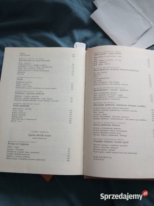 społeczeństwo polskie X do XX wieku socjologia