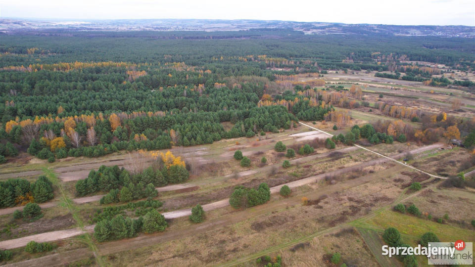 Działkę sprzedam 33800m Kajetanówka 2zł/m2