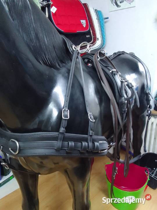 Uprząż biothan singiel cob pony shetty Pietrowice Wielkie