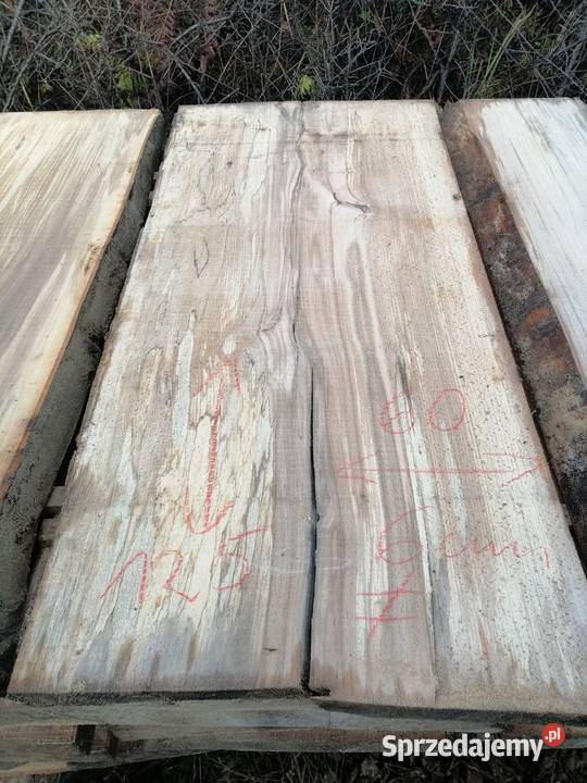 Bale deski bukowe dębowe jesionowe Przysucha