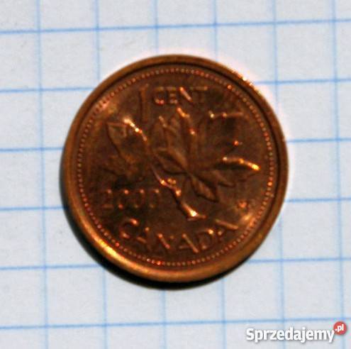 1 CENT 2000 KANADA Numizmatyka lubelskie Piszczac sprzedam