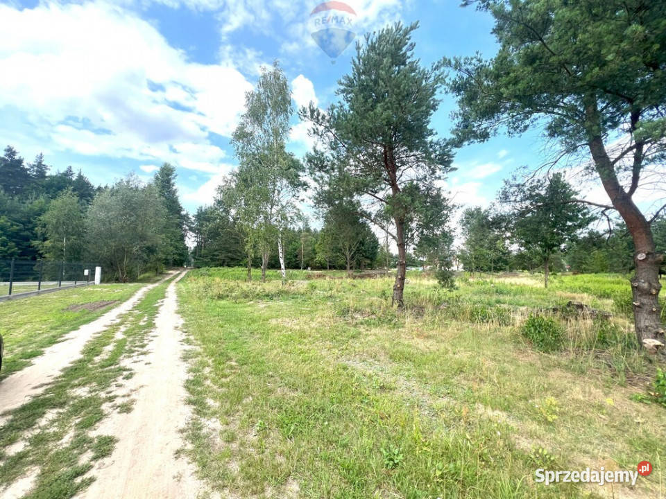 Działka budowlana 1000 m lesie Wincentówek budowlana