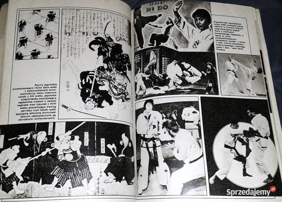 Tajemnice Kung Fu Marian Butrym Wisława Orlińska Rok wydania 1983 Chełm sprzedam