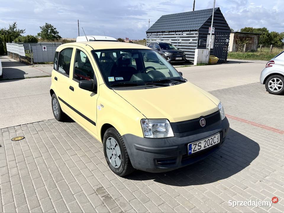 Wypożyczalnia aut Szczecin oferuje Fiata panda