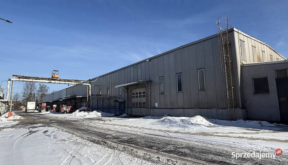 Wynajem Hali Magazynowej 3 S7 Magazyn z Obsługą Magazynowanie Elbląg
