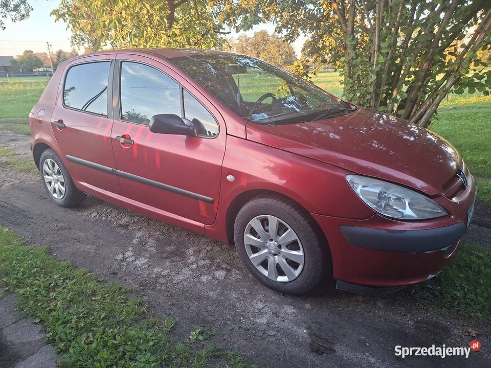 Peugeot 307 20HDI 2003 356500km 307 Łask