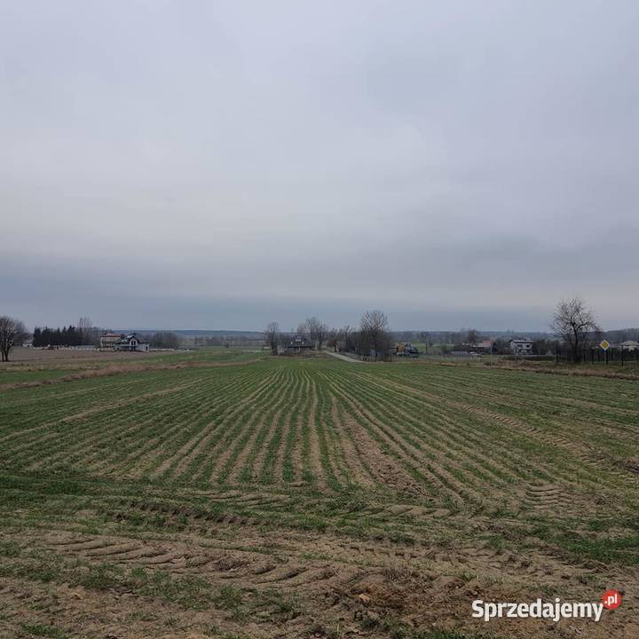Działka budowlanorolna uzbrojona Nieruchomości Dworszowice Pakoszowe
