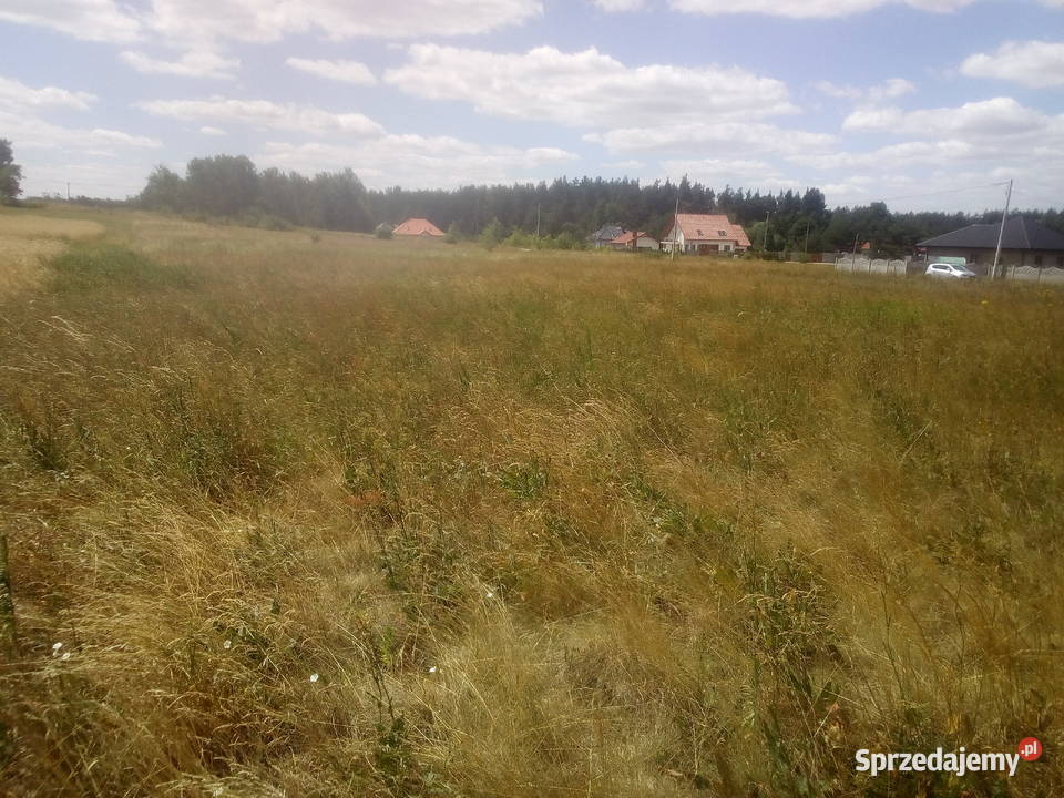 działki budowlane Morawica