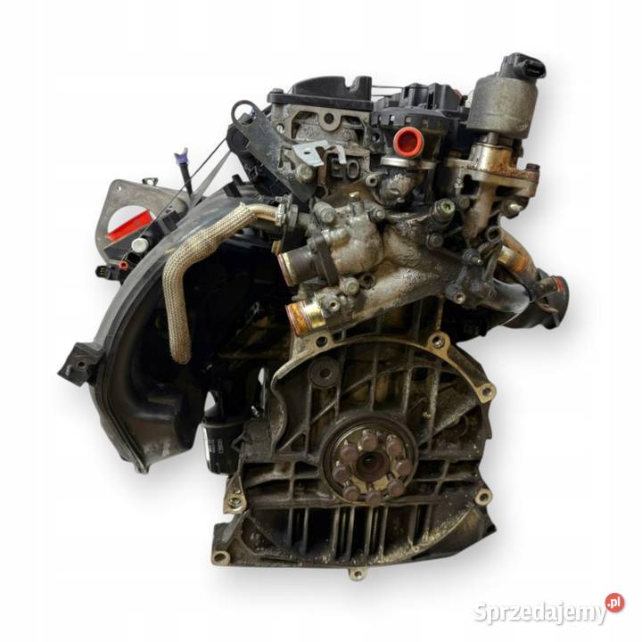 SILNIK RFN Peugeot 206 307 407 Expert Citroen C4 Chełm