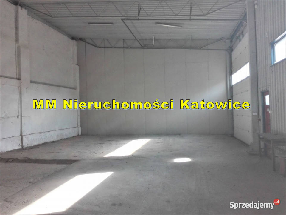 Hala do wynajęcia Sosnowiec centrum brama poziom