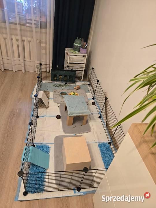 Modułowy wybieg gryzoni kojec klatka królika wielkopolskie Pogorzela