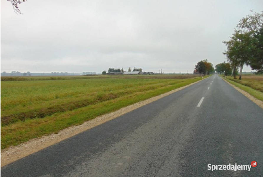Syndyk sprzeda udział w działceŁubniany rolna