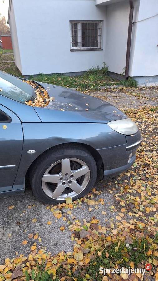 Sprzedam peugeota 407 Włocławek