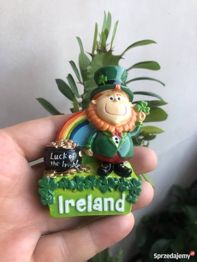 Magnes na lodówkę Irlandia Warszawa