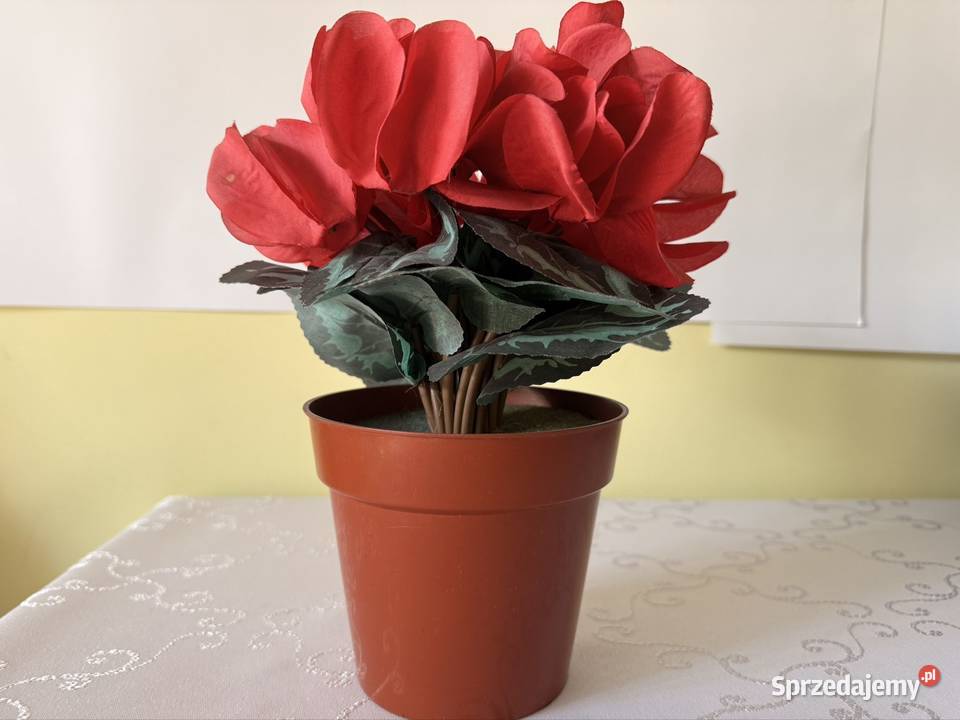 Sztuczny Kwiat Fiołek Alpejski Cyklamen Czerwony Czerwionka-Leszczyny sprzedam