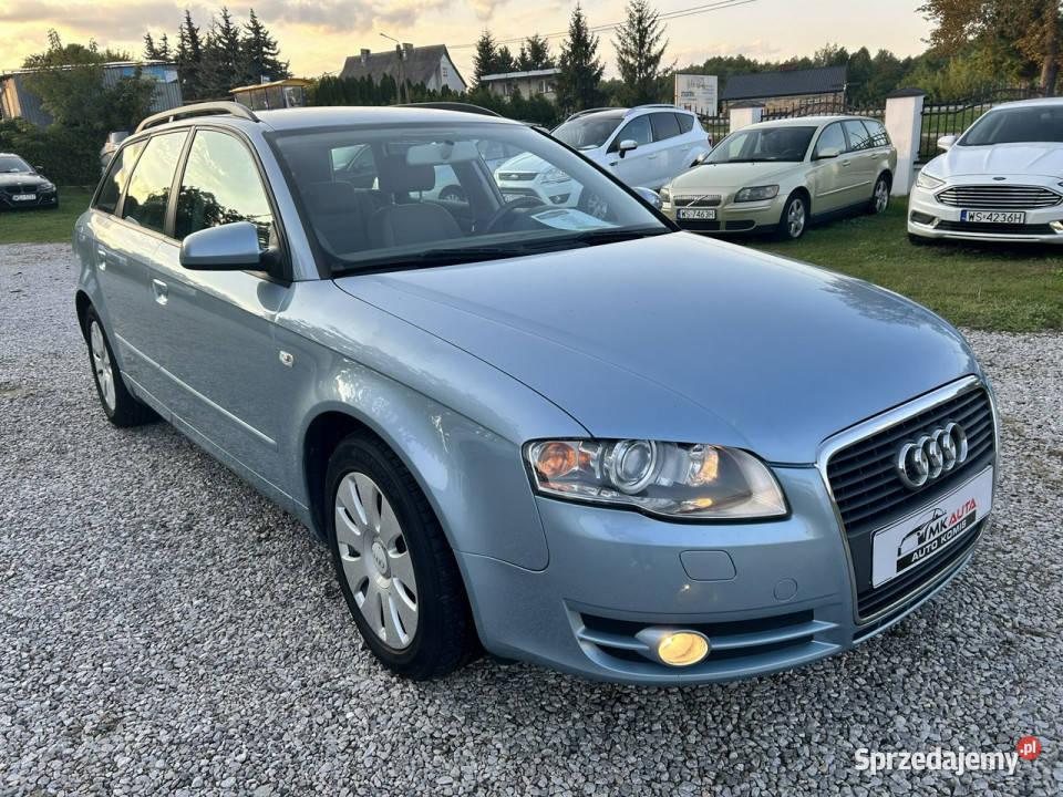 Audi A4 Super stan zarejestrowany w Polsce B7 Nowe Iganie