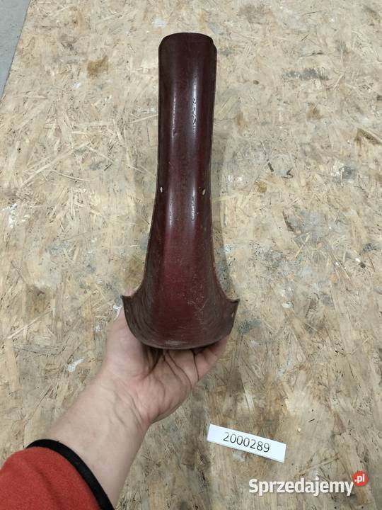 Komar błotnik przedni Rozkochów