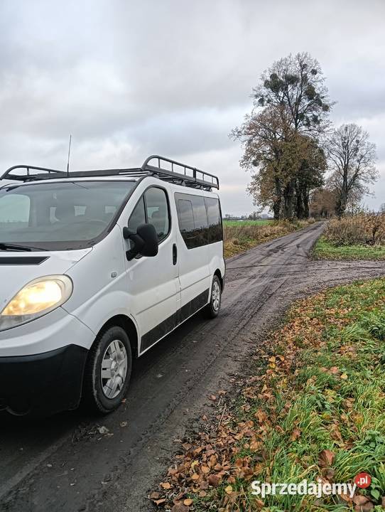 Sprzedam Renault Trafic 20 dizel 9 osobowy 2007 Pobiedziska