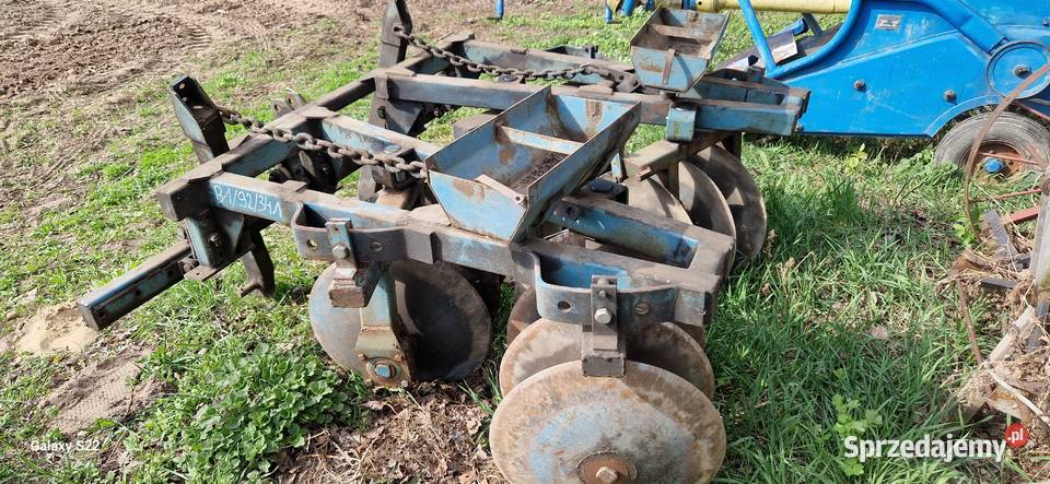 Brona talerzowa lesna Pozostałe lubelskie Biała Podlaska