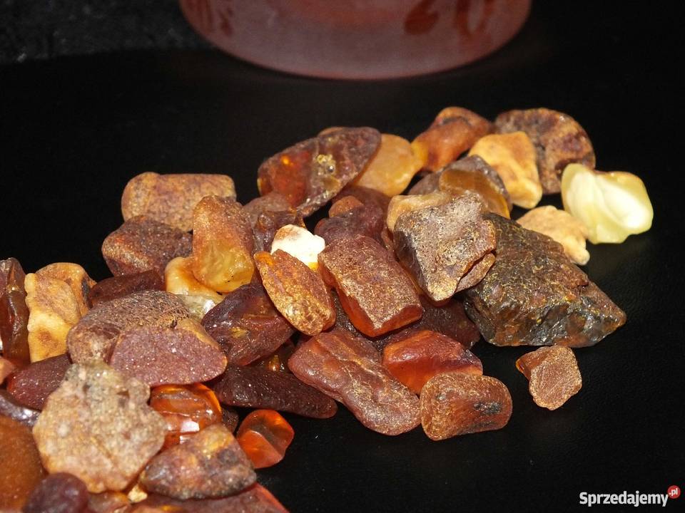 Bursztyn bałtycki Kąty Rybackie