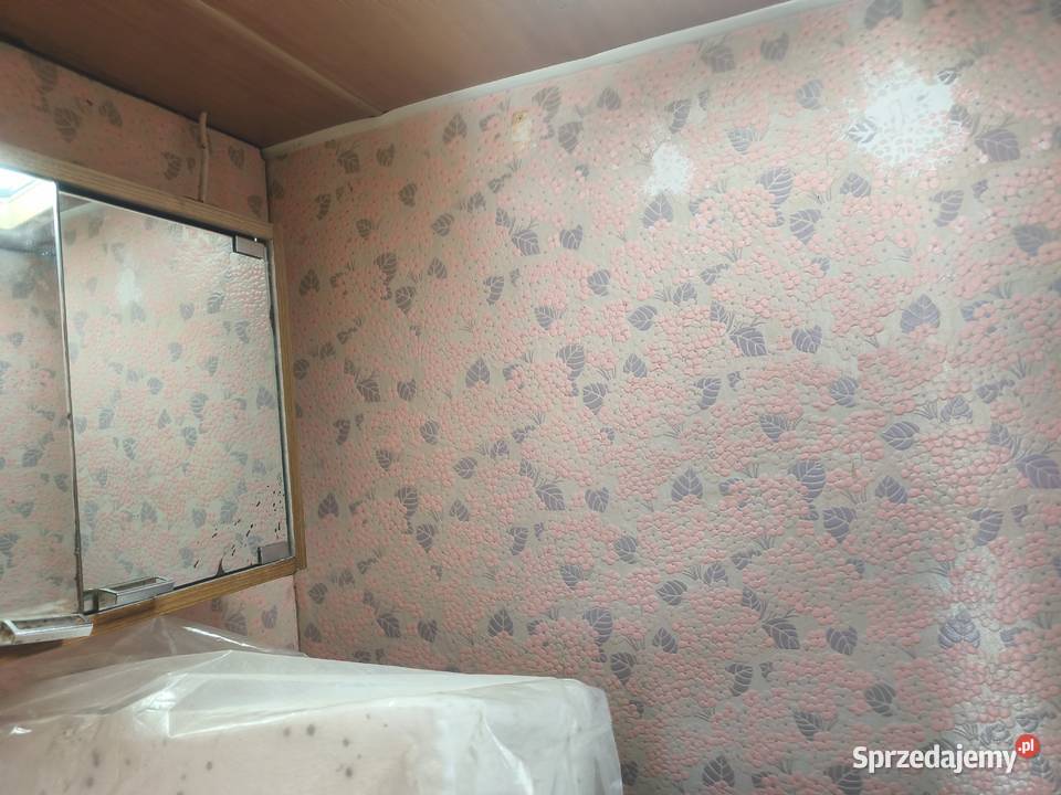 Przyczepa Tabbert Tabbert Skrzynice Pierwsze