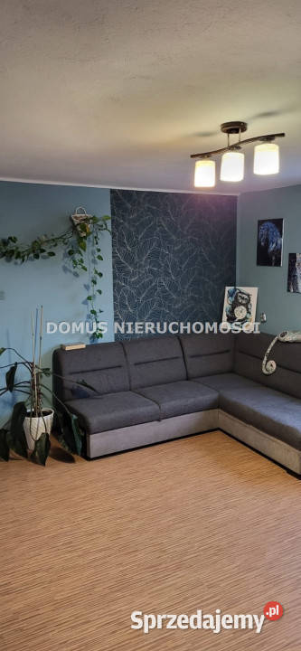 Mieszkanie Piotrków Trybunalski 4167m2