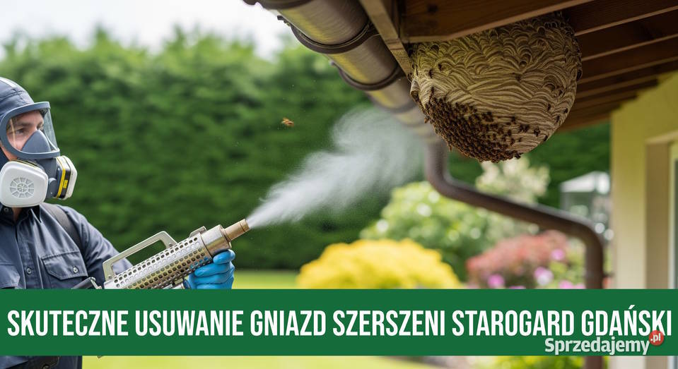 Zwalczanie Szerszeni Starogard Gdański Usuwanie Zwalczanie szkodników, deratyzacja