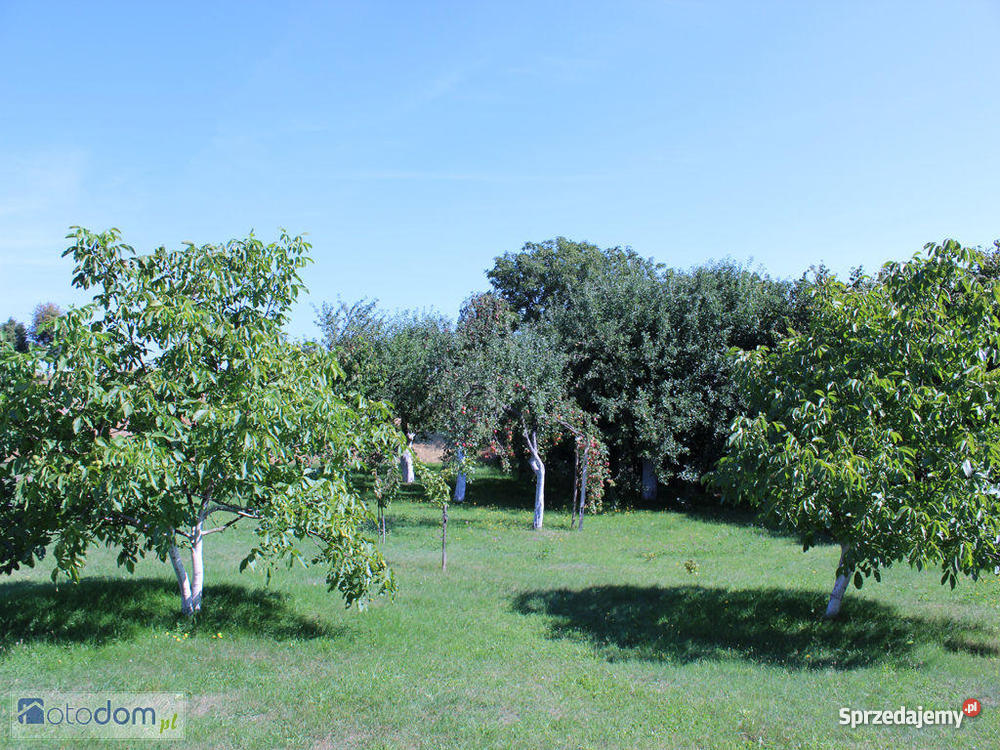 DOM 120 WARSZAWY mazowieckie Mława