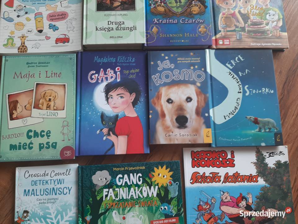 11 książeczek dzieci stan