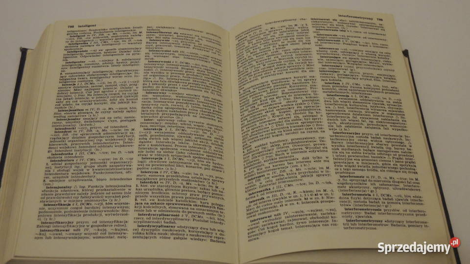 Słownik języka polskiego PWN