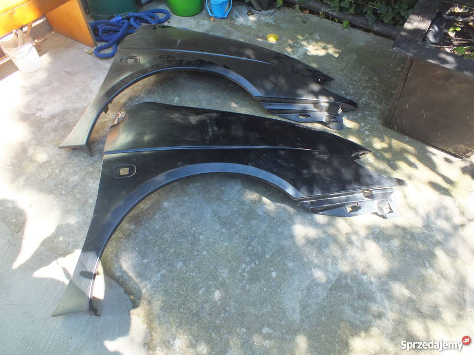 Błotniki Renaul senni części blacharskie Leszno