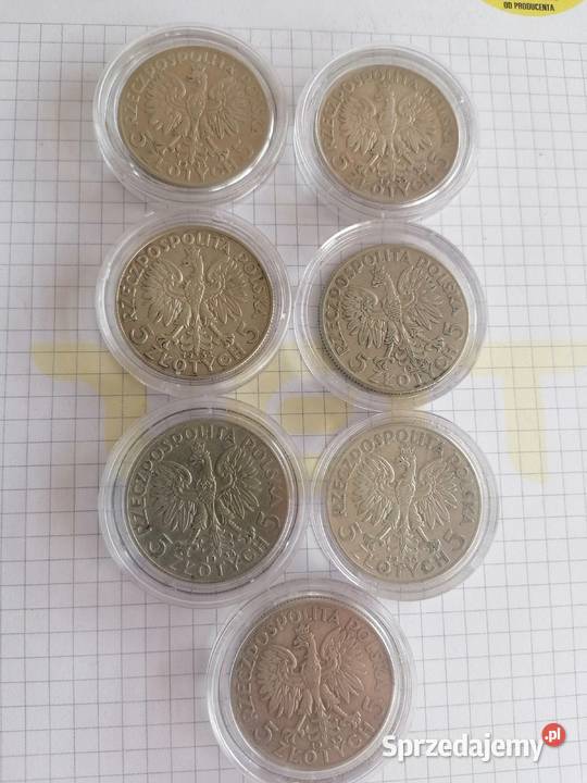 Głowa Kobiety 5