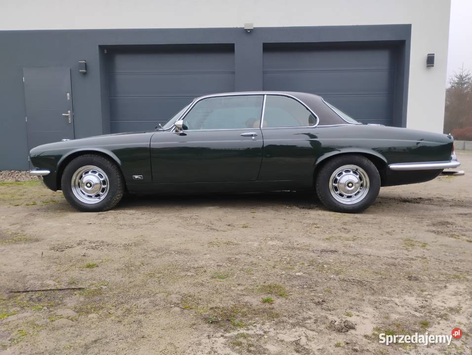 Jaguar xj6 coupe XJC 42 Jaguar sprzedam