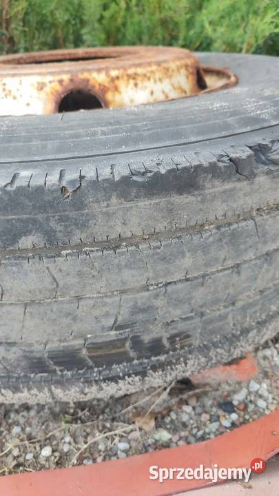 Koło felga opona Dunlop Sp344 23575 175 Renault wielkopolskie Książ Wielkopolski