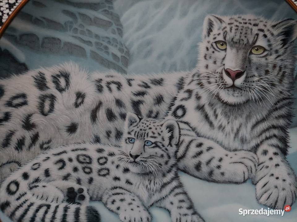 Kolekcjonerski talerz ozdobny Snow leopards Chełm