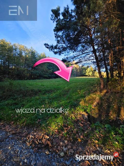 Grunt Wysoka Strzyżowska 2700 metrów 2700m2 podkarpackie