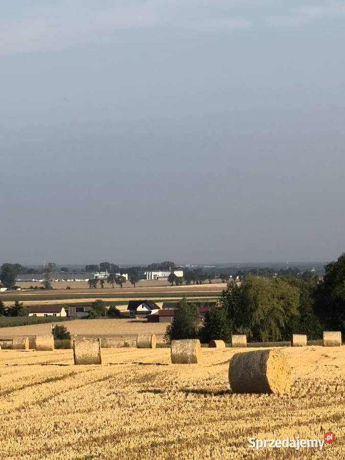 Sprzedam słomę jęczmienna 25 ha jarą zbior łódzkie Łubno
